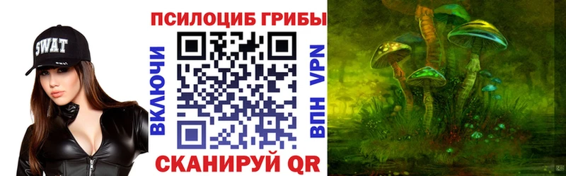 Псилоцибиновые грибы MAGIC MUSHROOMS  Купить закладки  Эртиль 